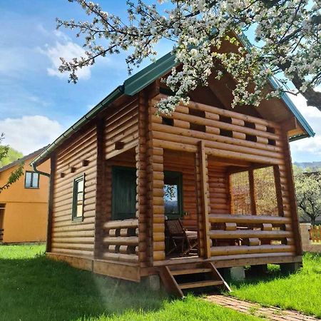 Guest House Green Garden Мойковац Экстерьер фото