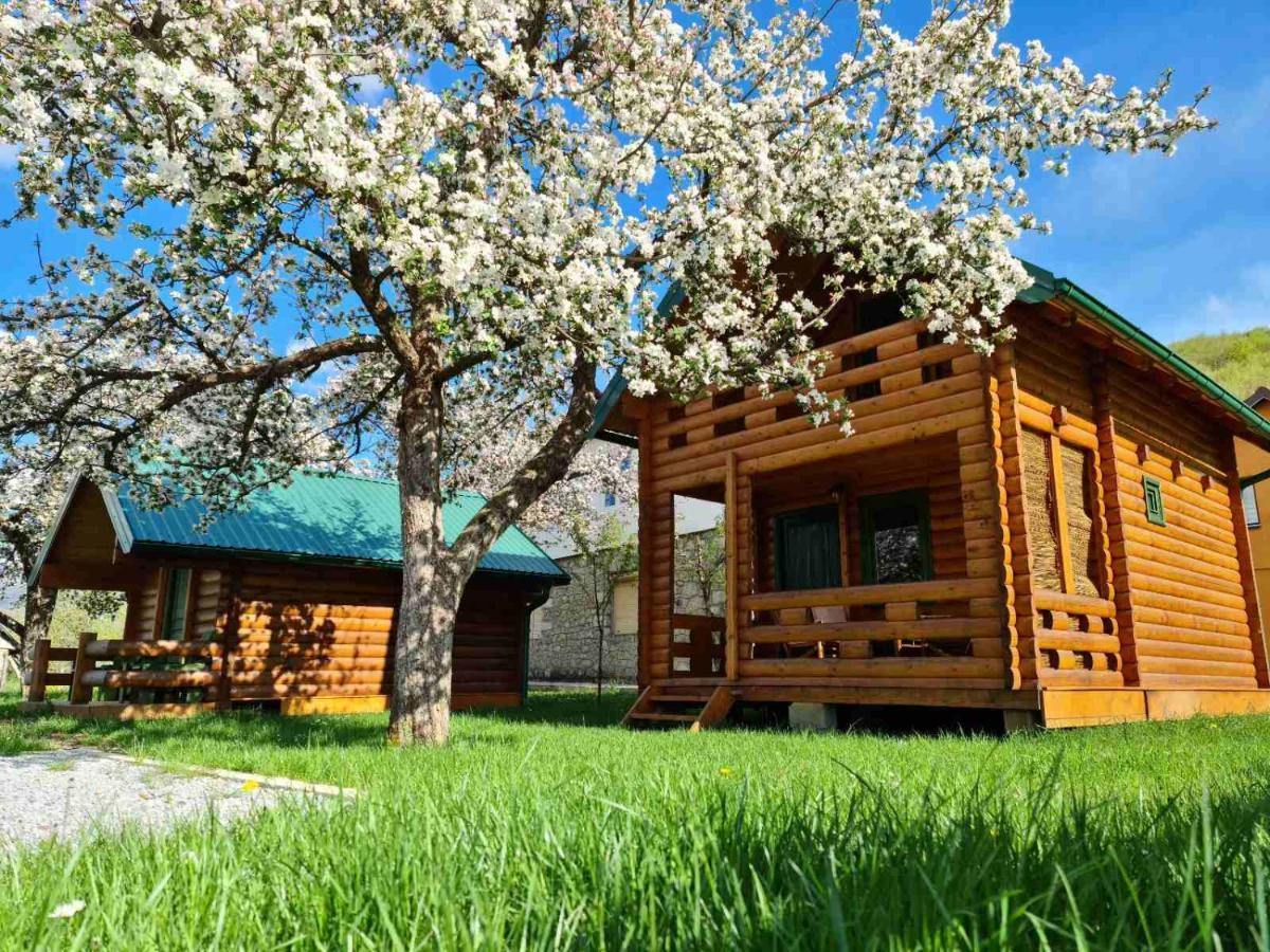 Guest House Green Garden Мойковац Экстерьер фото