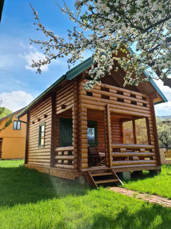 Guest House Green Garden Мойковац Экстерьер фото