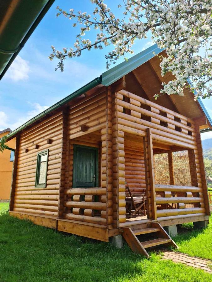 Guest House Green Garden Мойковац Экстерьер фото