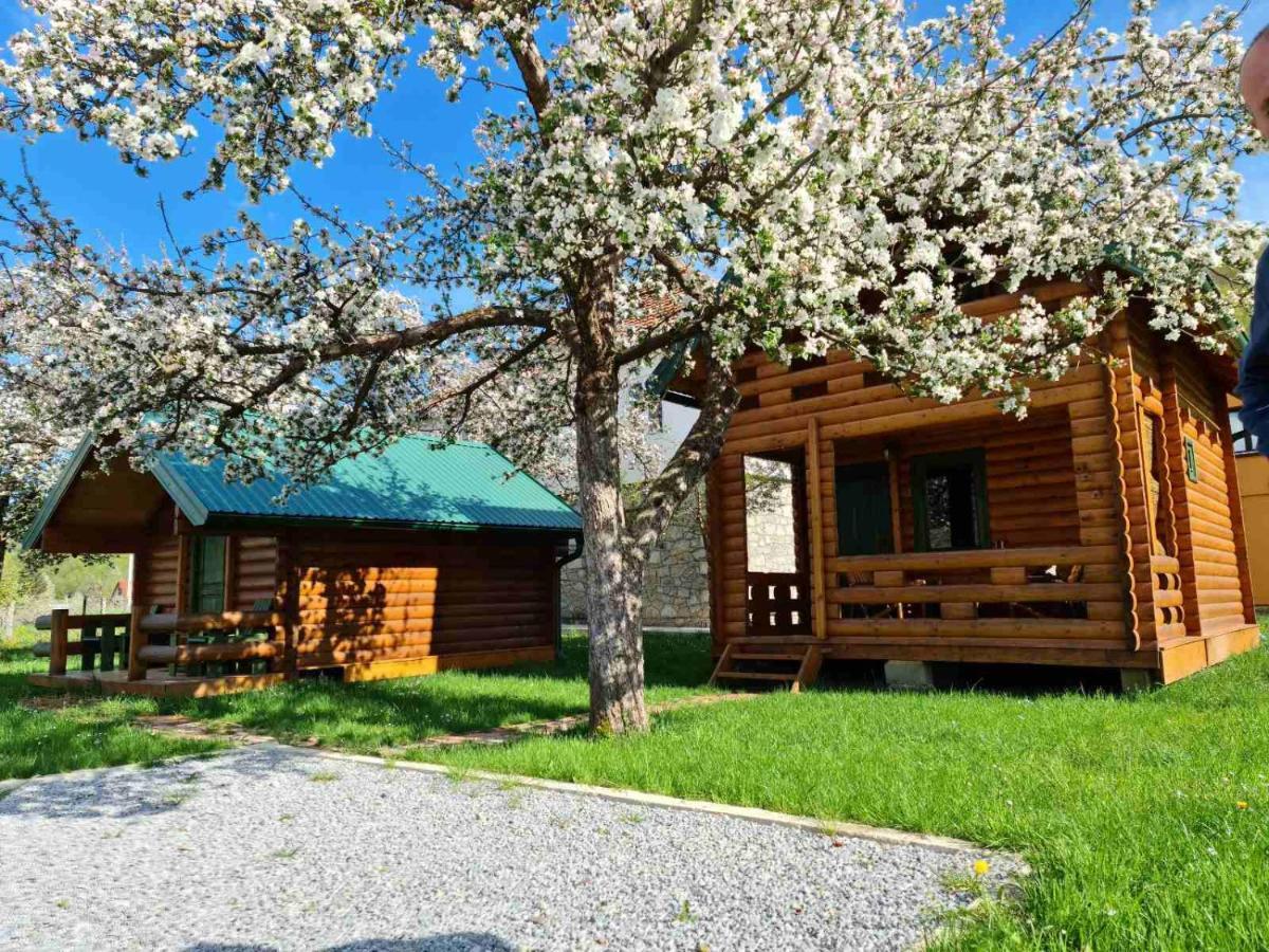 Guest House Green Garden Мойковац Экстерьер фото
